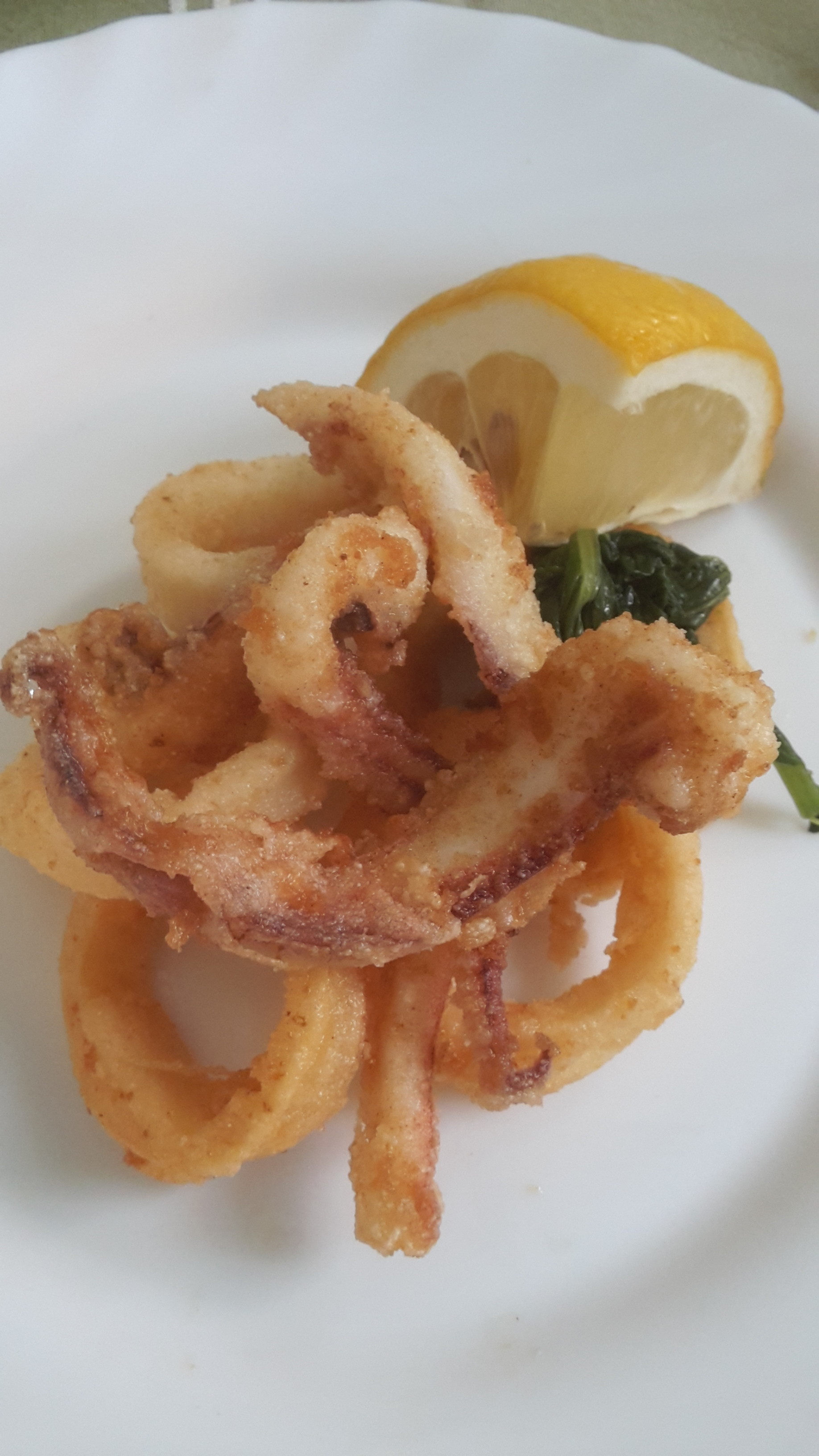 Frittura di calamari