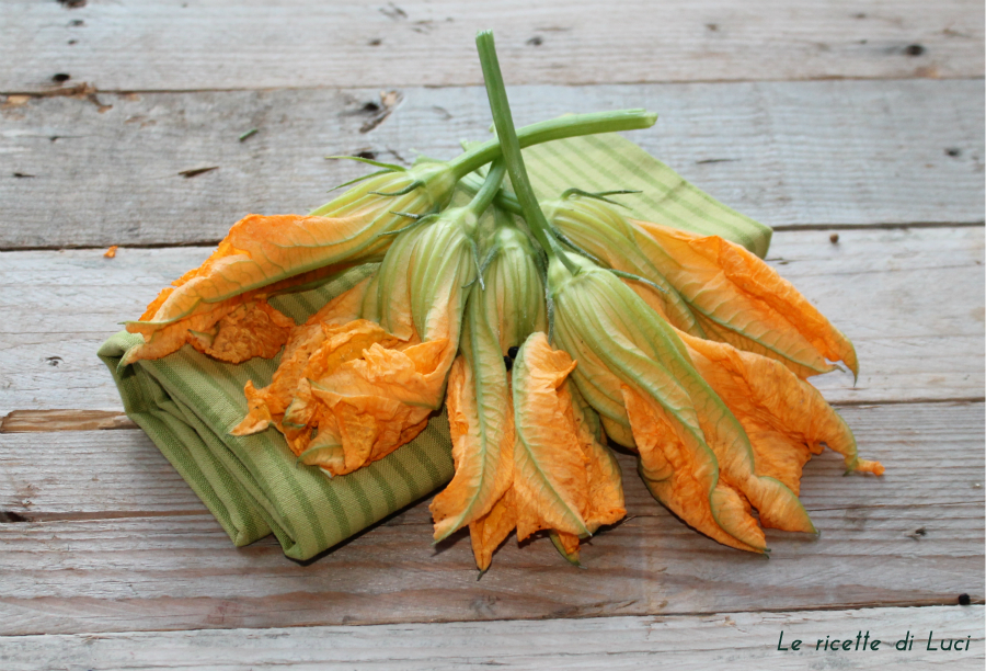 fiori di zucca