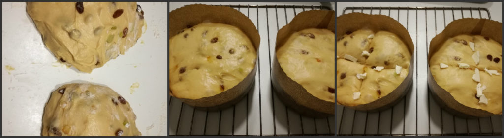 panettone-fasi