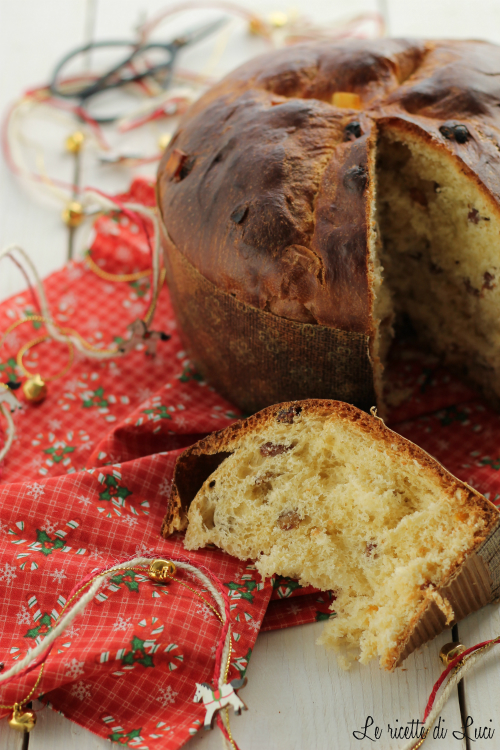 panettone-verticale