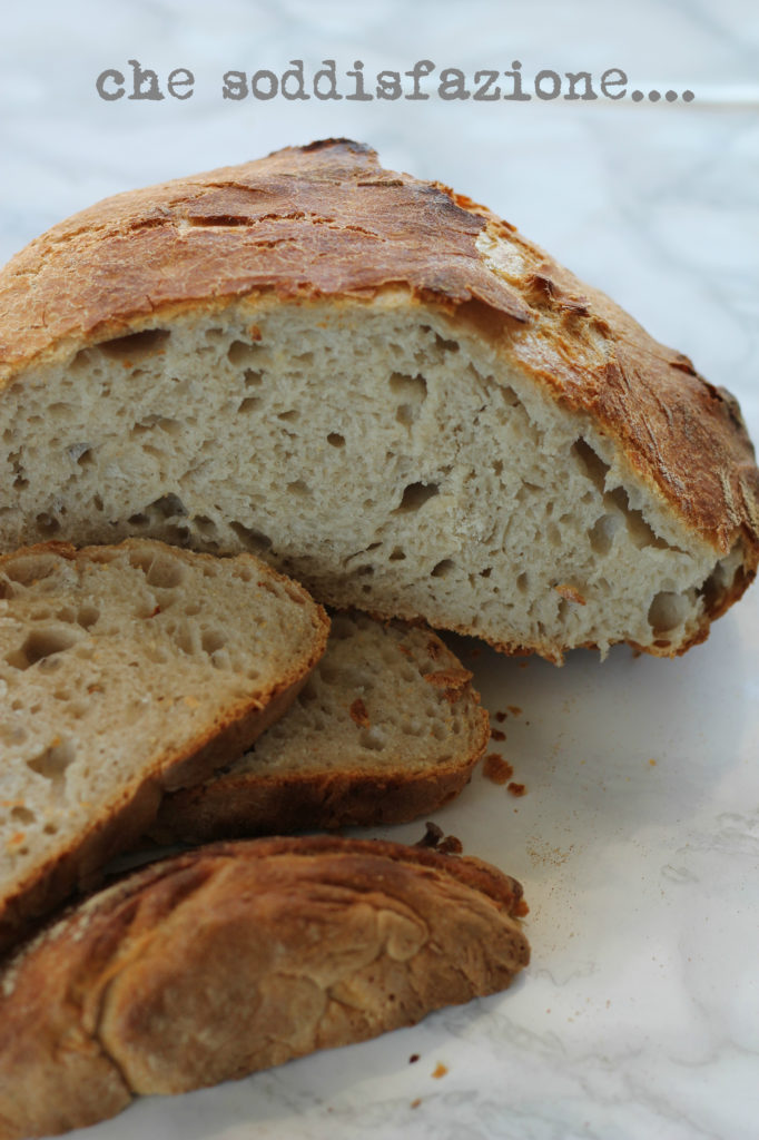 No-knead bread/pane senza impasto